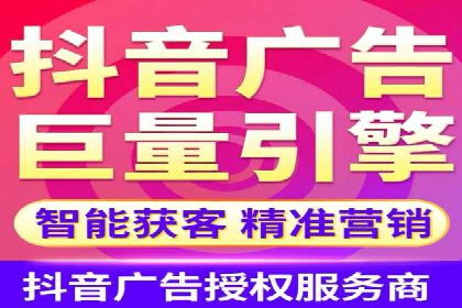 某某SEM团队成功案例：广告投放策略揭秘