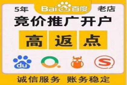 优化SEM竞价策略：成功案例剖析